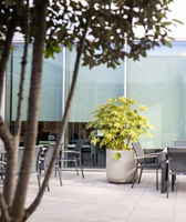 patio_bnppff_turnhout - partenaire_ideal - fr